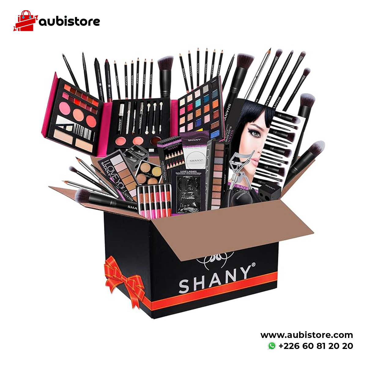 SHANY Cosmetics SHANY Gift Surprise – EXCLUSIVITÉ AMAZON – Ensemble de ...